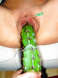 Painful cactus insertion into the pussy and pricking of the clitoris