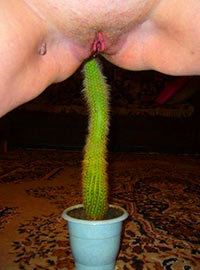 The housewife is fond of growing cacti specifically in order to put them into her cunt and enjoy the pain